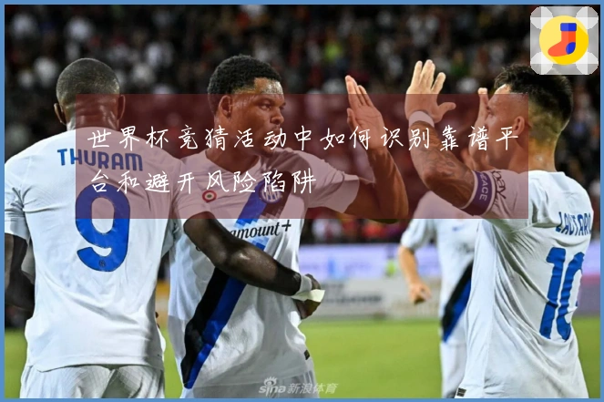 世界杯竞猜活动中如何识别靠谱平台和避开风险陷阱