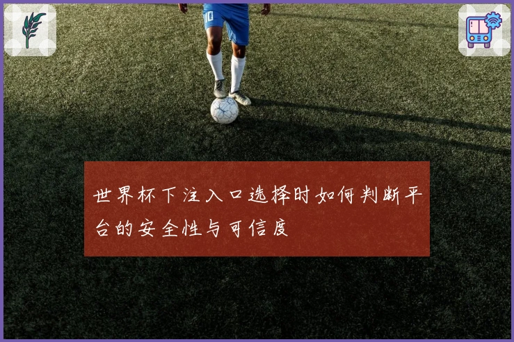 世界杯下注入口选择时如何判断平台的安全性与可信度