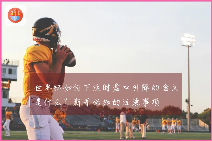 世界杯如何下注时盘口升降的含义是什么？新手必知的注意事项