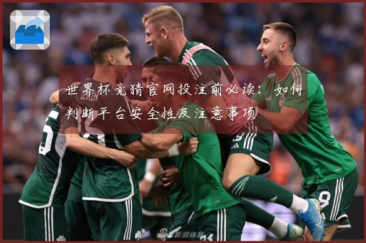 世界杯竞猜官网投注前必读：如何判断平台安全性及注意事项