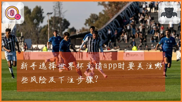 新手选择世界杯竞猜app时要关注哪些风险及下注步骤？