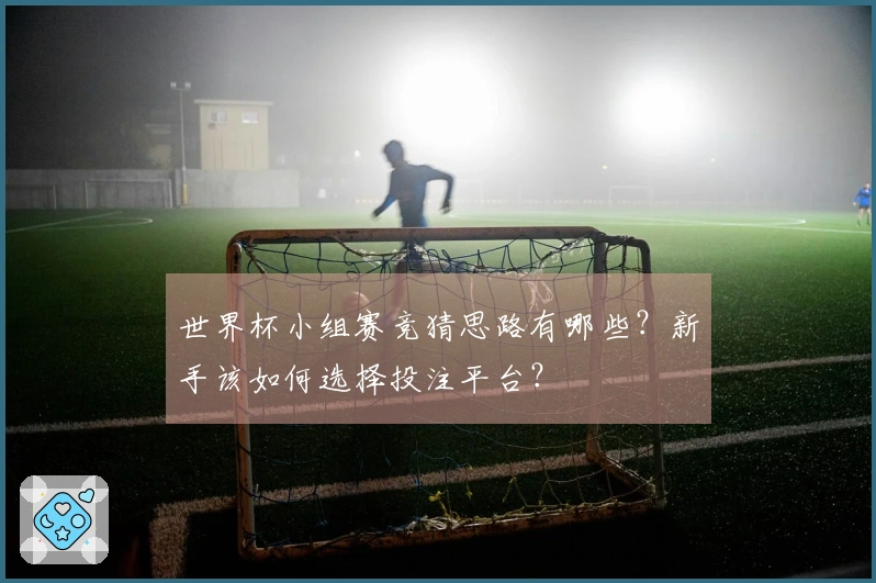 世界杯小组赛竞猜思路有哪些？新手该如何选择投注平台？