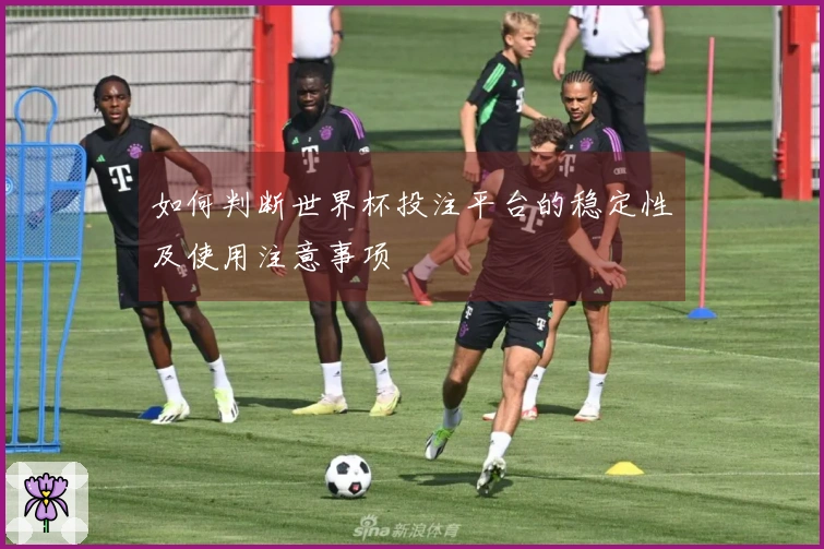 如何判断世界杯投注平台的稳定性及使用注意事项
