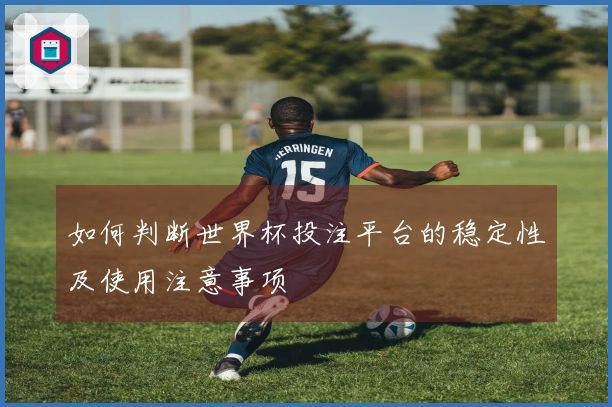 如何判断世界杯投注平台的稳定性及使用注意事项