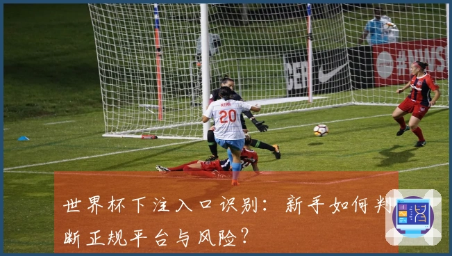 世界杯下注入口识别：新手如何判断正规平台与风险？