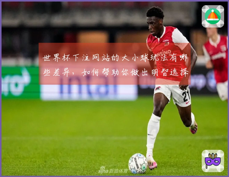 世界杯下注网站的大小球玩法有哪些差异，如何帮助你做出明智选择