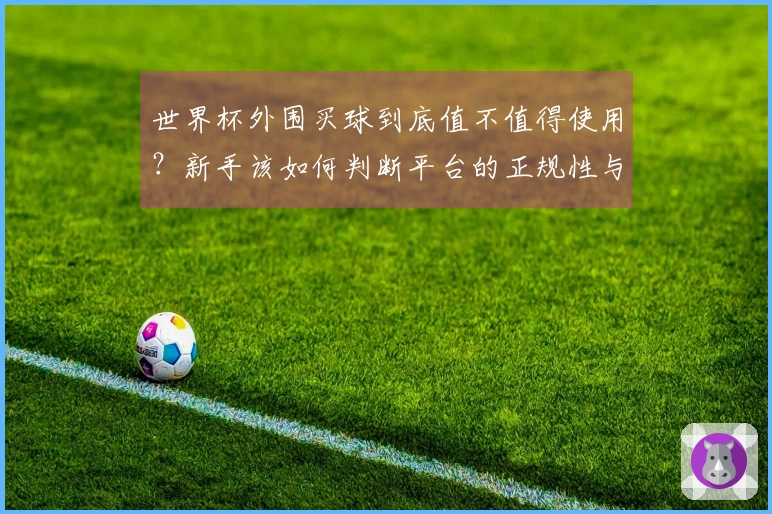 世界杯外围买球到底值不值得使用？新手该如何判断平台的正规性与赔率水平