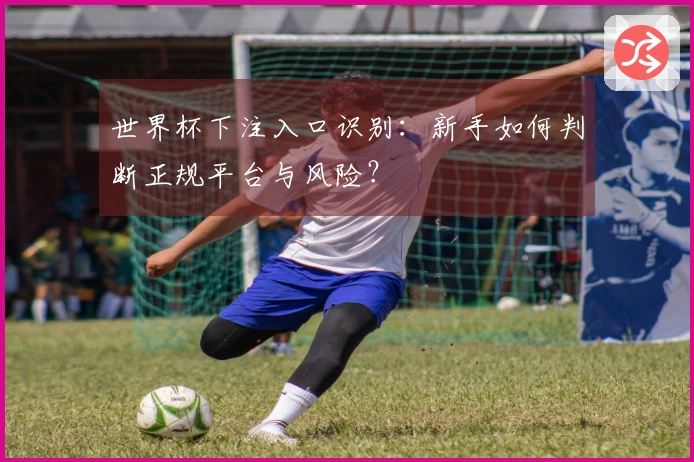 世界杯下注入口识别：新手如何判断正规平台与风险？