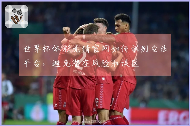 世界杯体彩竞猜官网如何识别合法平台，避免潜在风险和误区