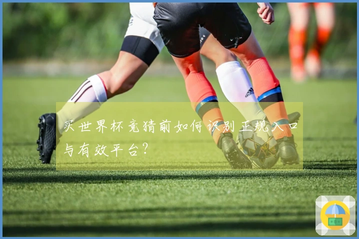 买世界杯竞猜前如何识别正规入口与有效平台？