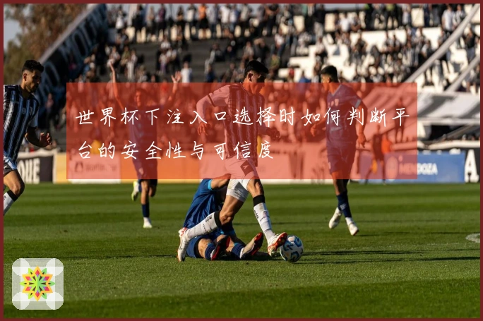 世界杯下注入口选择时如何判断平台的安全性与可信度