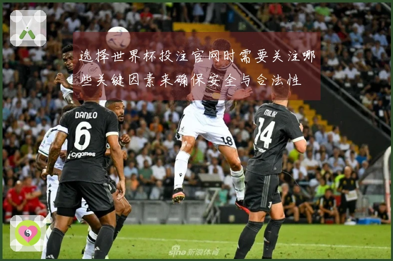 选择世界杯投注官网时需要关注哪些关键因素来确保安全与合法性