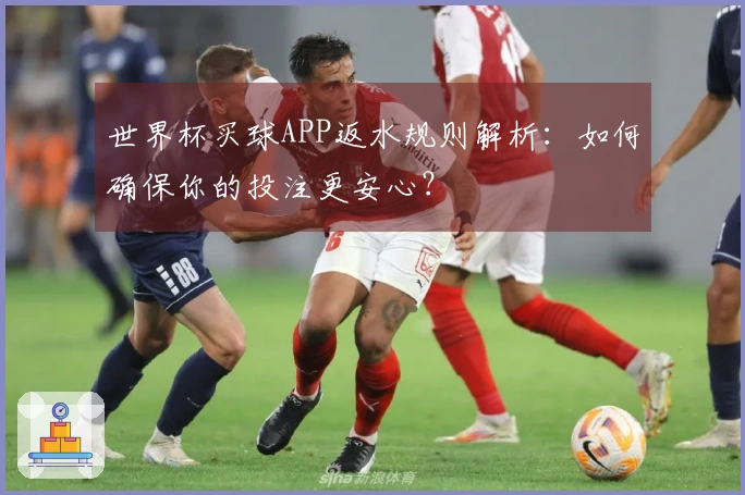 世界杯买球APP返水规则解析：如何确保你的投注更安心？