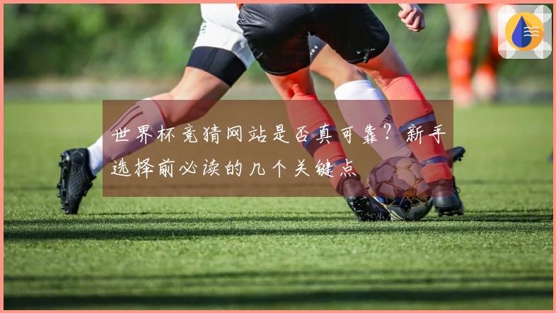 世界杯竞猜网站是否真可靠？新手选择前必读的几个关键点