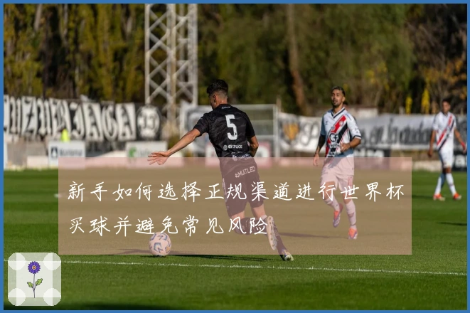 新手如何选择正规渠道进行世界杯买球并避免常见风险