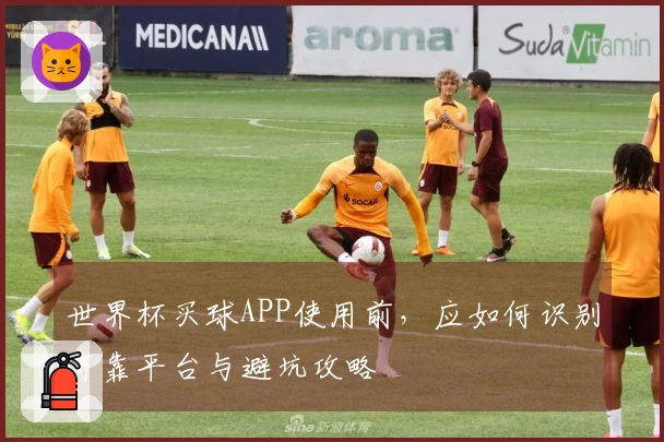 世界杯买球APP使用前，应如何识别可靠平台与避坑攻略