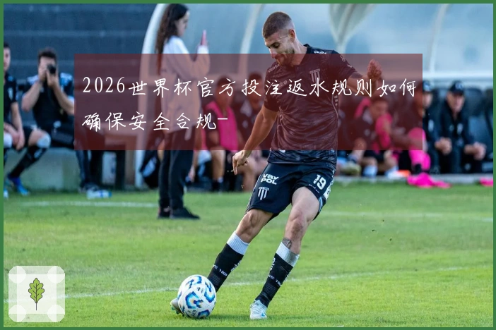 2026世界杯官方投注返水规则如何确保安全合规-
