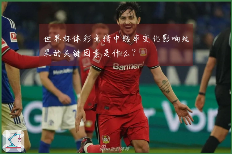 世界杯体彩竞猜中赔率变化影响结果的关键因素是什么？