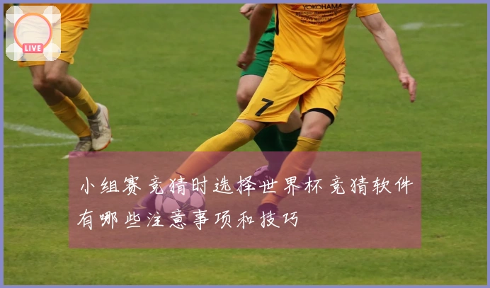 小组赛竞猜时选择世界杯竞猜软件有哪些注意事项和技巧
