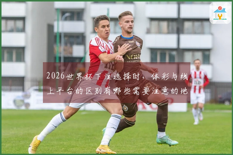 2026世界杯下注选择时，体彩与线上平台的区别有哪些需要注意的地方