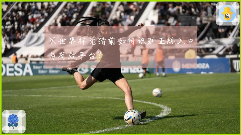 买世界杯竞猜前如何识别正规入口与有效平台？