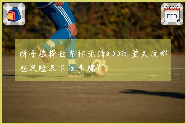 新手选择世界杯竞猜app时要关注哪些风险及下注步骤？